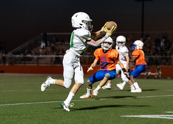 Cobb vs. Griffin 7th A-121