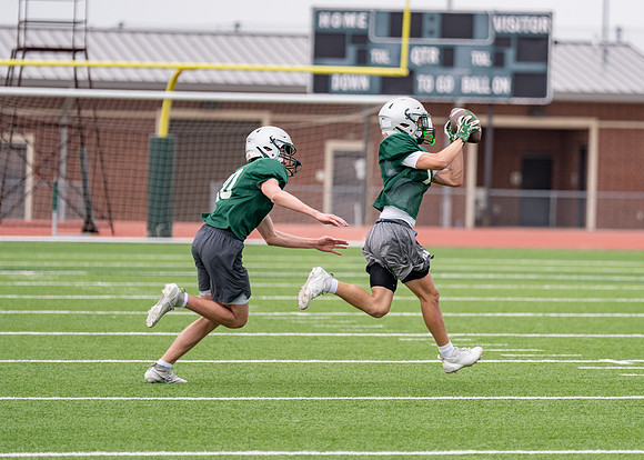 Reedy Spring Ball-66