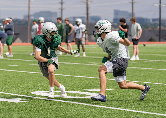 Reedy Spring Ball-106