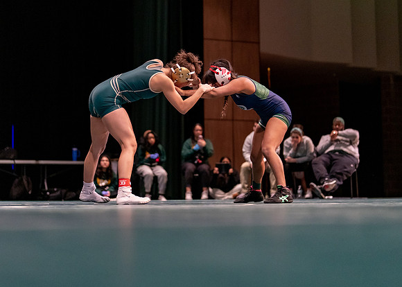 LT vs. Reedy-108