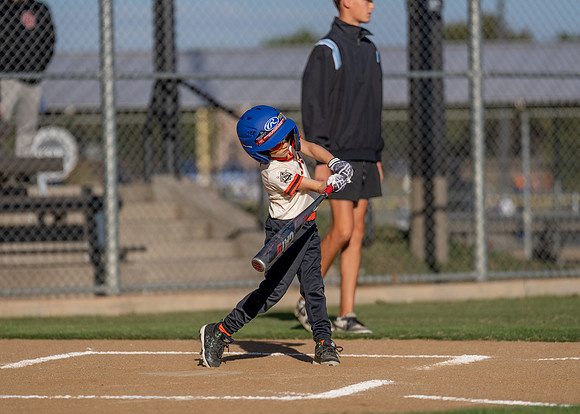 Giants Baseball Action-100