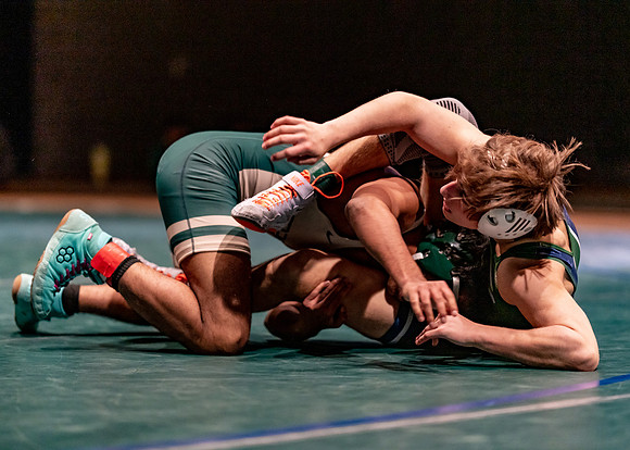 LT vs. Reedy-208