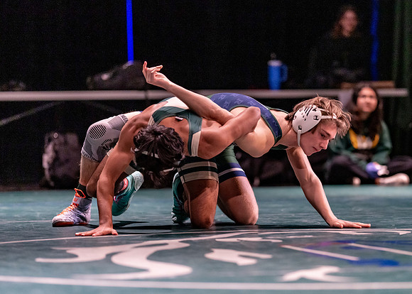 LT vs. Reedy-196