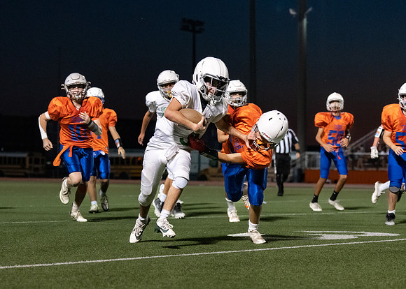 Cobb vs. Griffin 7th A-114