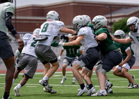 Reedy Spring Ball-4