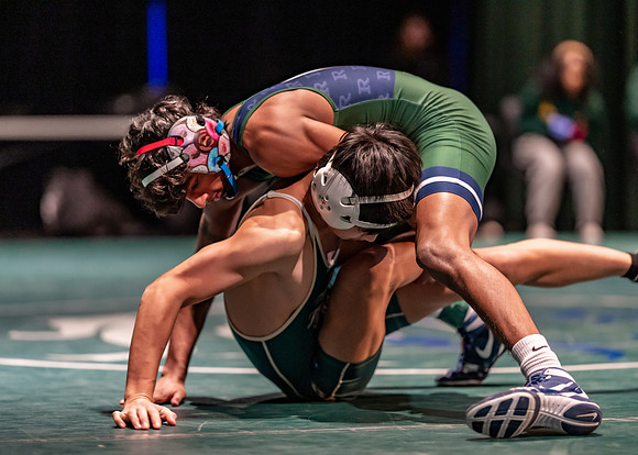 LT vs. Reedy-135