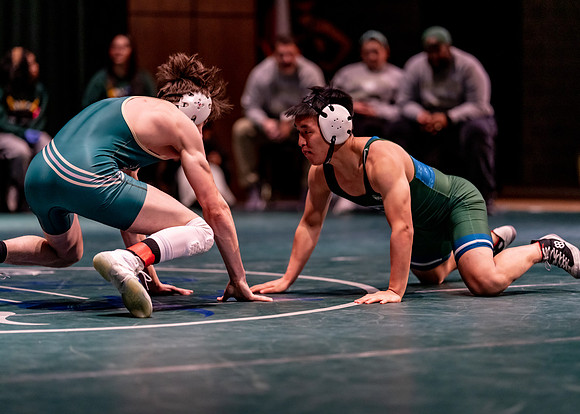 LT vs. Reedy-231