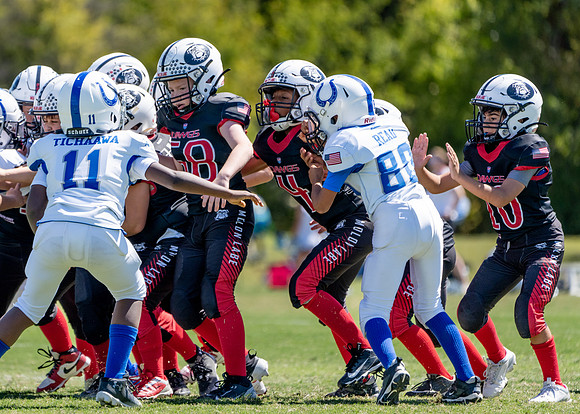 9U Dawgs vs. Colts-105
