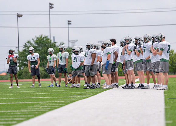 Reedy Spring Ball-96