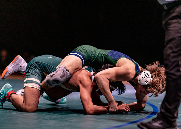 LT vs. Reedy-205