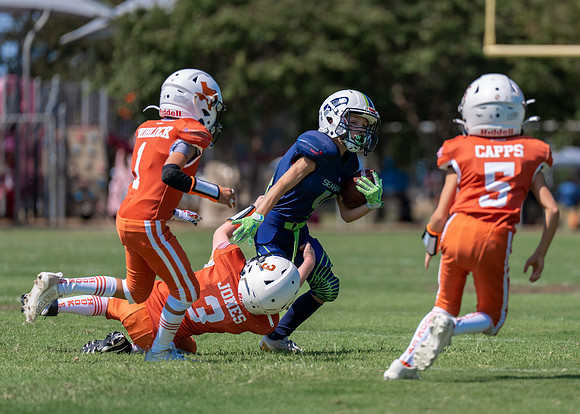 Longhorns vs. Seahawks-215
