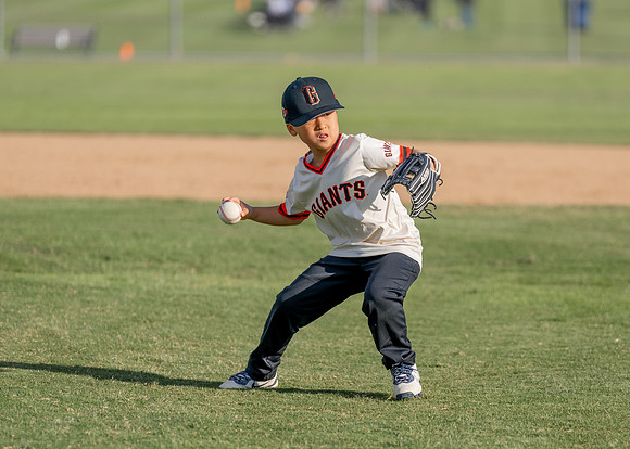 Giants Baseball Action-120