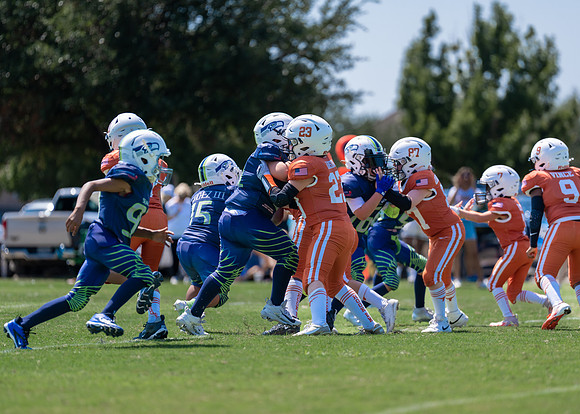 Longhorns vs. Seahawks-205