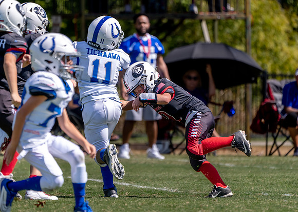 9U Dawgs vs. Colts-215