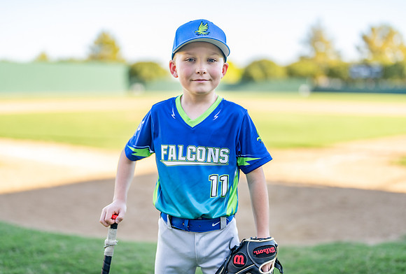 Falcons-3