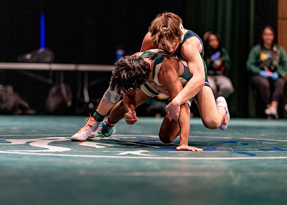 LT vs. Reedy-211