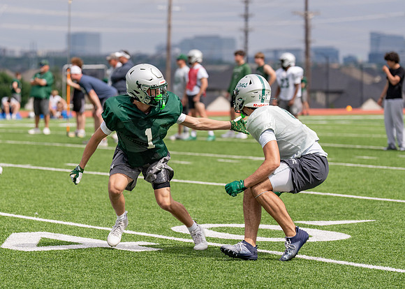 Reedy Spring Ball-107