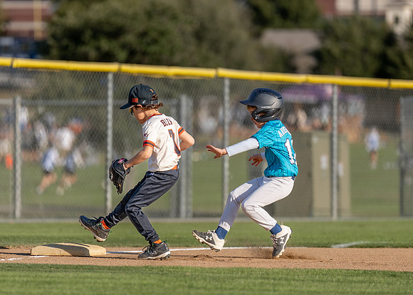 Giants Baseball Action-70
