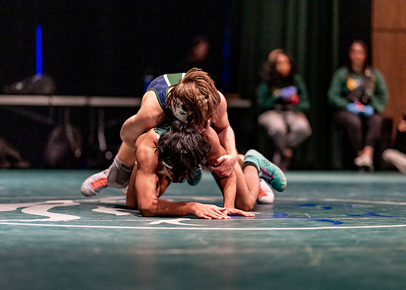 LT vs. Reedy-210