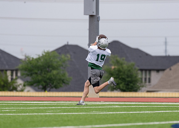 Reedy Spring Ball-84