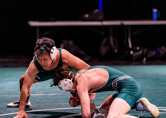 LT vs. Reedy-229