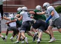 Reedy Spring Ball-5