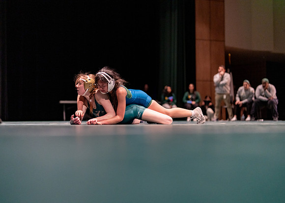 LT vs. Reedy-102