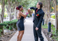 HOCO-20
