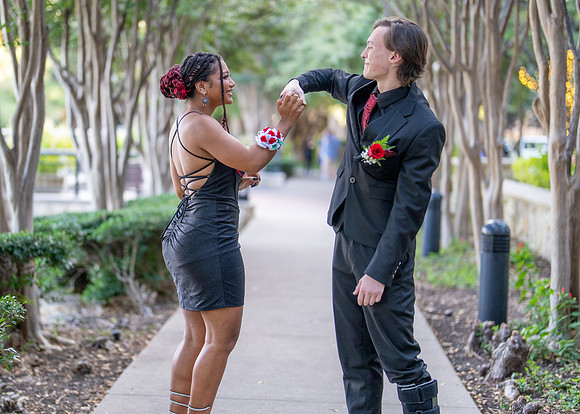 HOCO-20