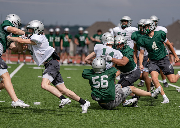 Reedy Spring Ball-111