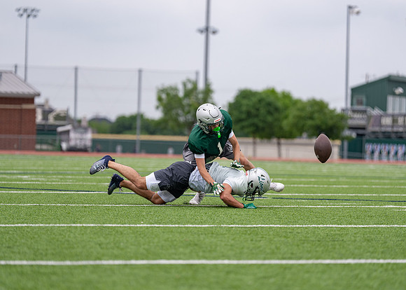 Reedy Spring Ball-20