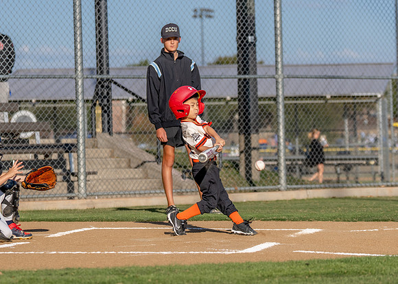 Giants Baseball Action-80