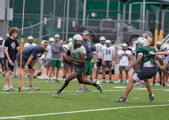 Reedy Spring Ball-53