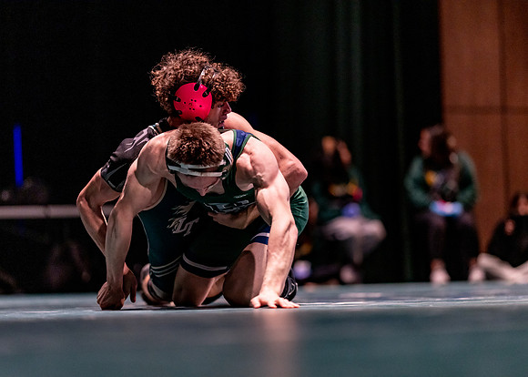 LT vs. Reedy-252