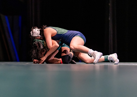 LT vs. Reedy-85
