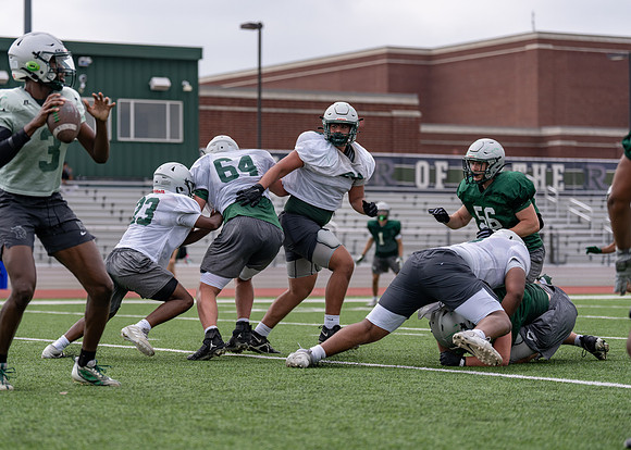 Reedy Spring Ball-122
