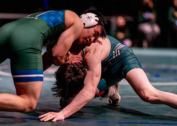 LT vs. Reedy-240