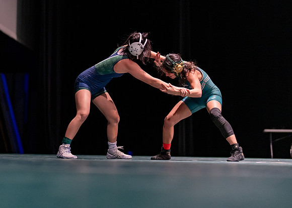LT vs. Reedy-82