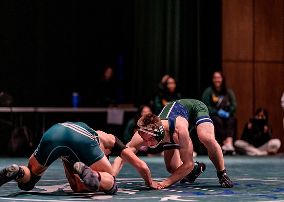 LT vs. Reedy-247