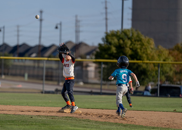 Giants Baseball Action-113
