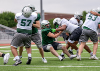 Reedy Spring Ball-9
