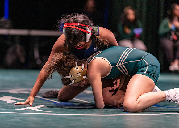 LT vs. Reedy-115