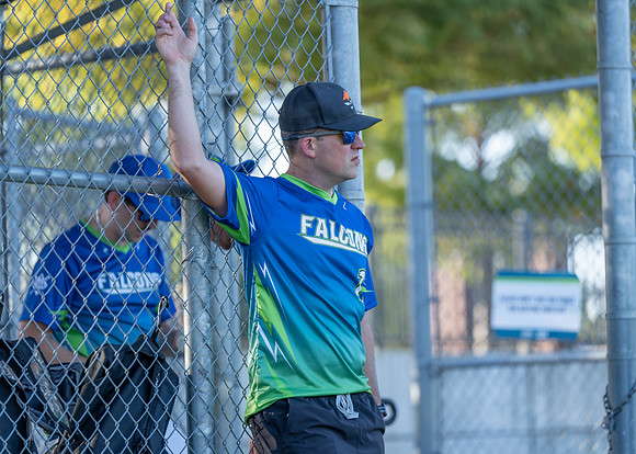 Falcons Action-137