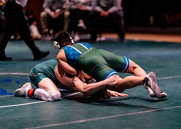 LT vs. Reedy-230