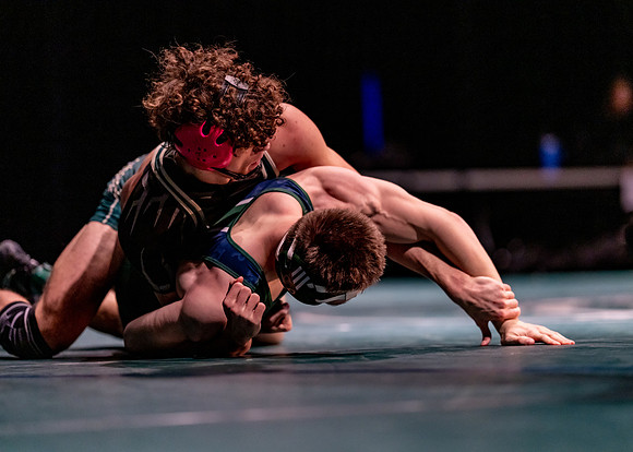 LT vs. Reedy-254