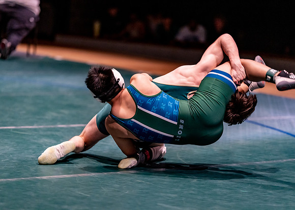 LT vs. Reedy-239