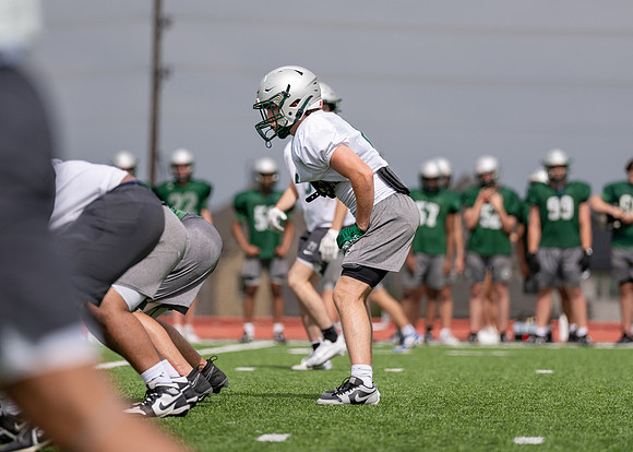 Reedy Spring Ball-114