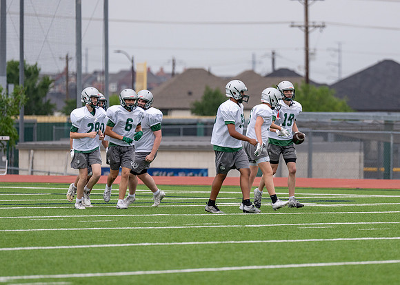 Reedy Spring Ball-85