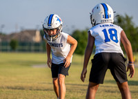 Cowboys-15