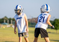 Cowboys-20